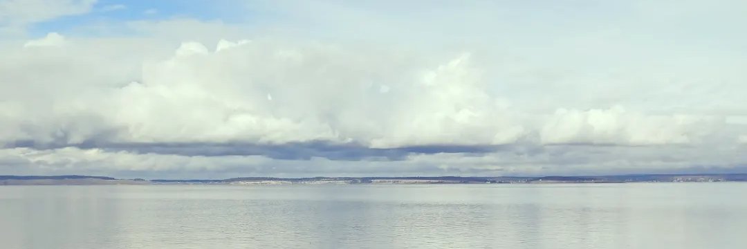 Olivia Rosane, PhD banner