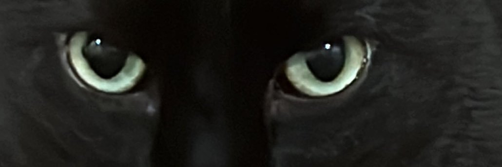 _Sosadilaa's profile banner image