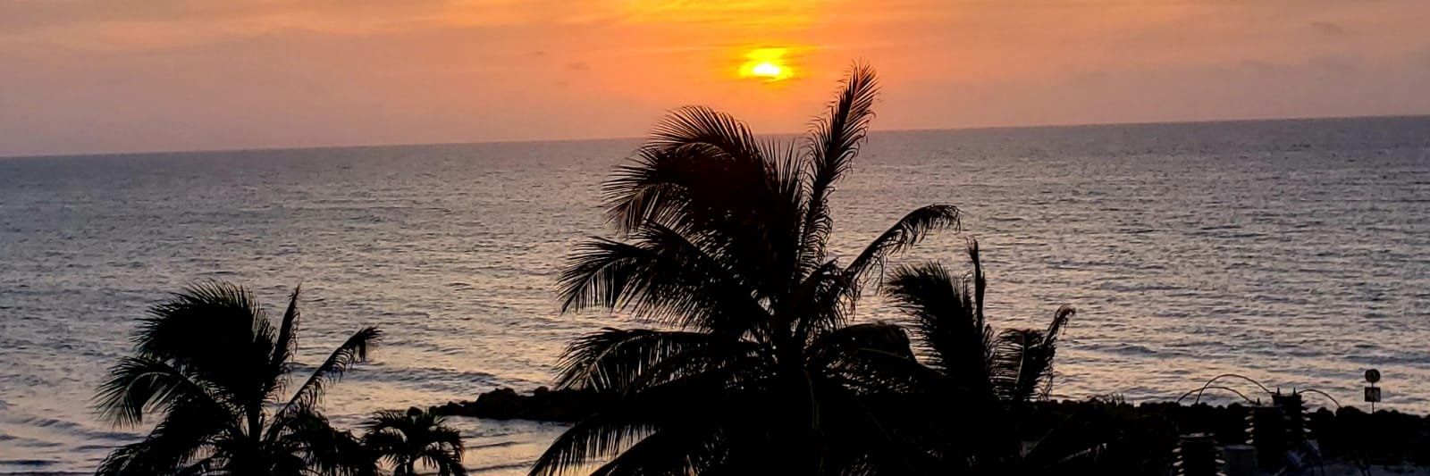 danitzamoralesd's profile banner image