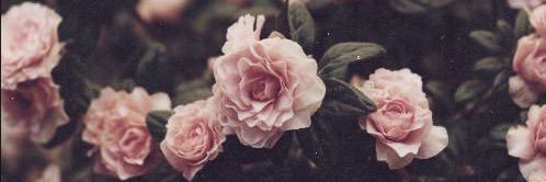 susbaei's profile banner image