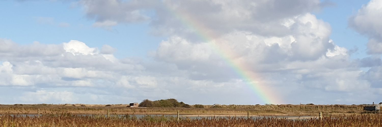 eddybirder's profile banner image