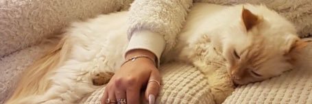 StefFranklin's profile banner image