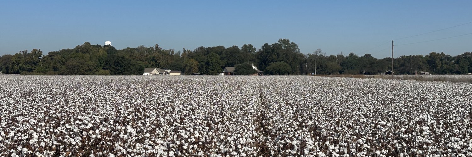 Ashley Peters banner