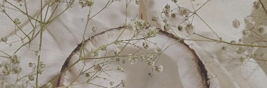 milk_argent's profile banner image