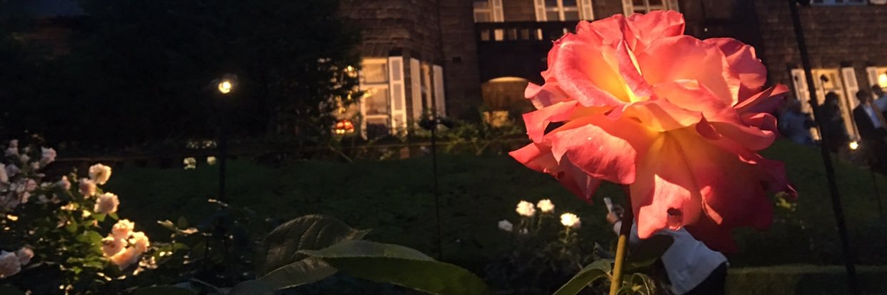 IH39's profile banner image