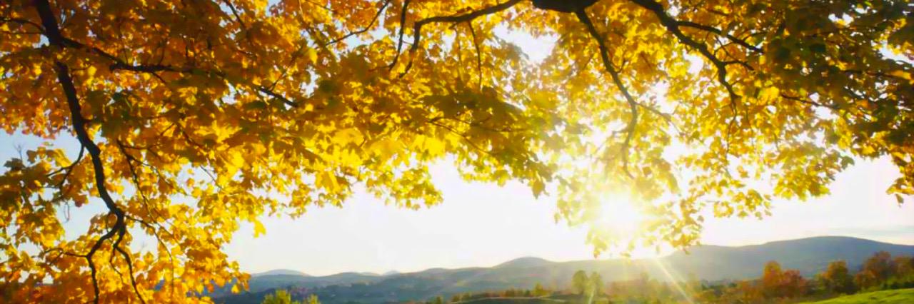 Stephen Greif banner