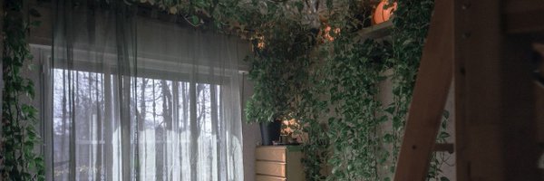 scre Profile Banner
