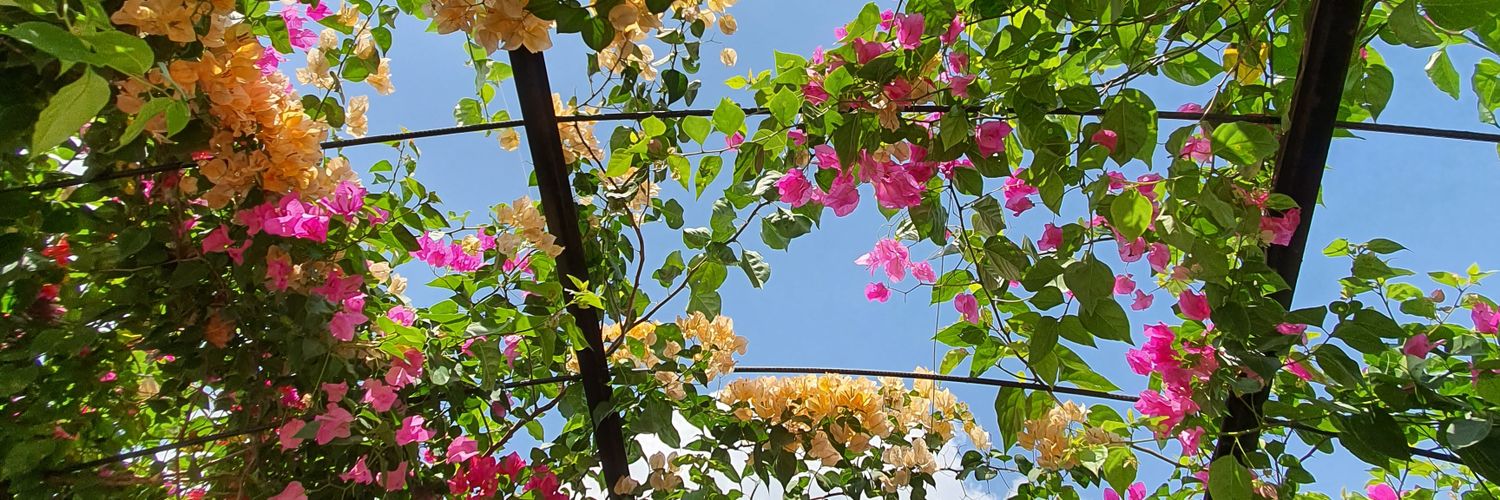 kerokeroming's profile banner image