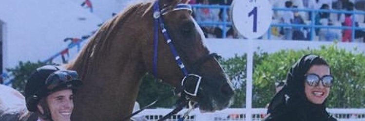 salhaaag's profile banner image