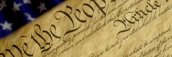 The Playful Walrus banner