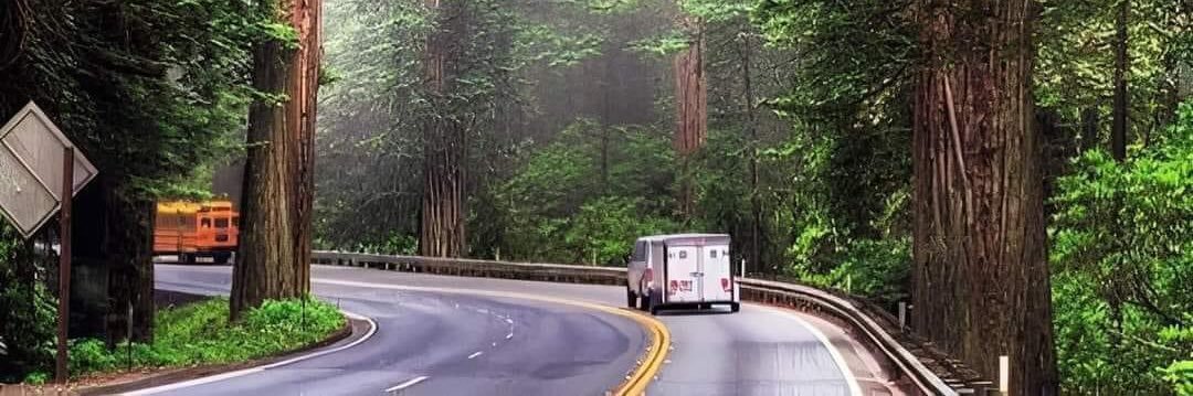 sandy 🔥🤷‍♀️🗣️🖤💚🖤 banner