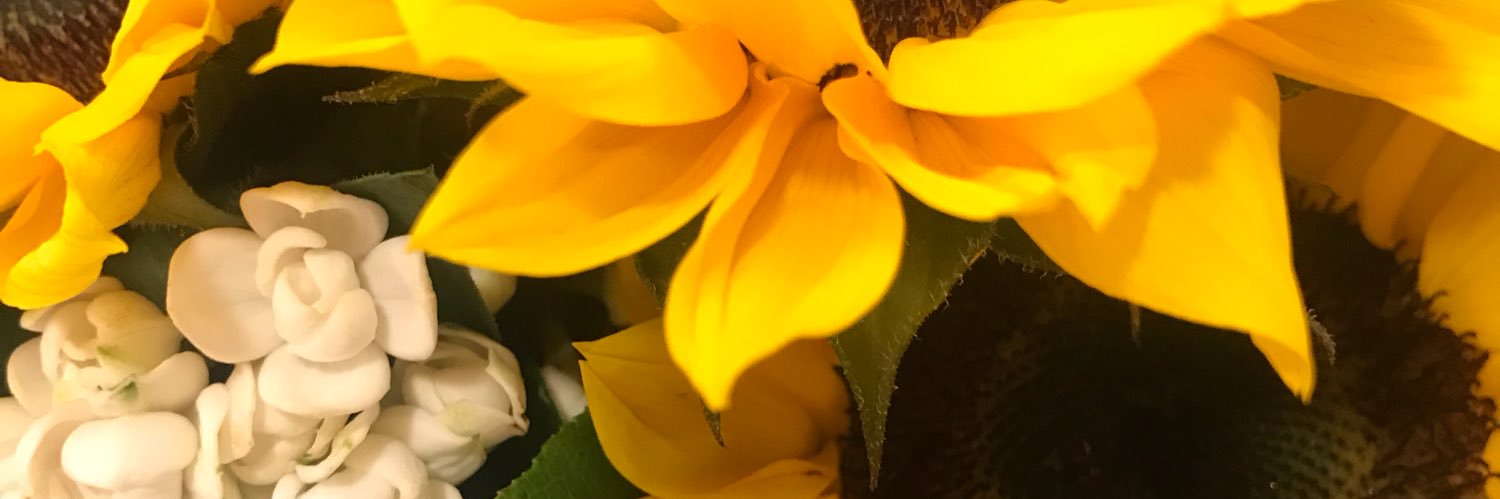 fennechse's profile banner image