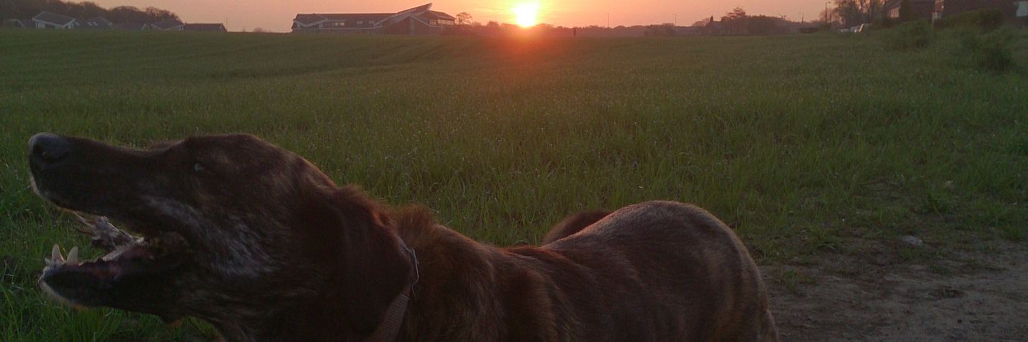 asmith_1979's profile banner image