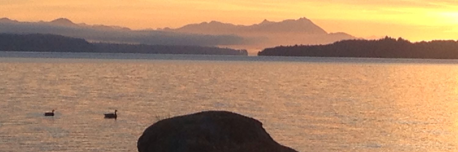 NHarkonen's profile banner image