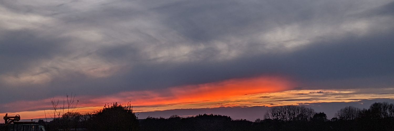 bertranddevil's profile banner image