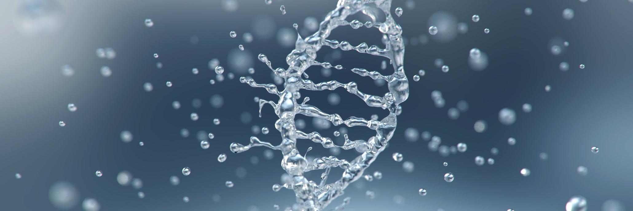 BioArt banner