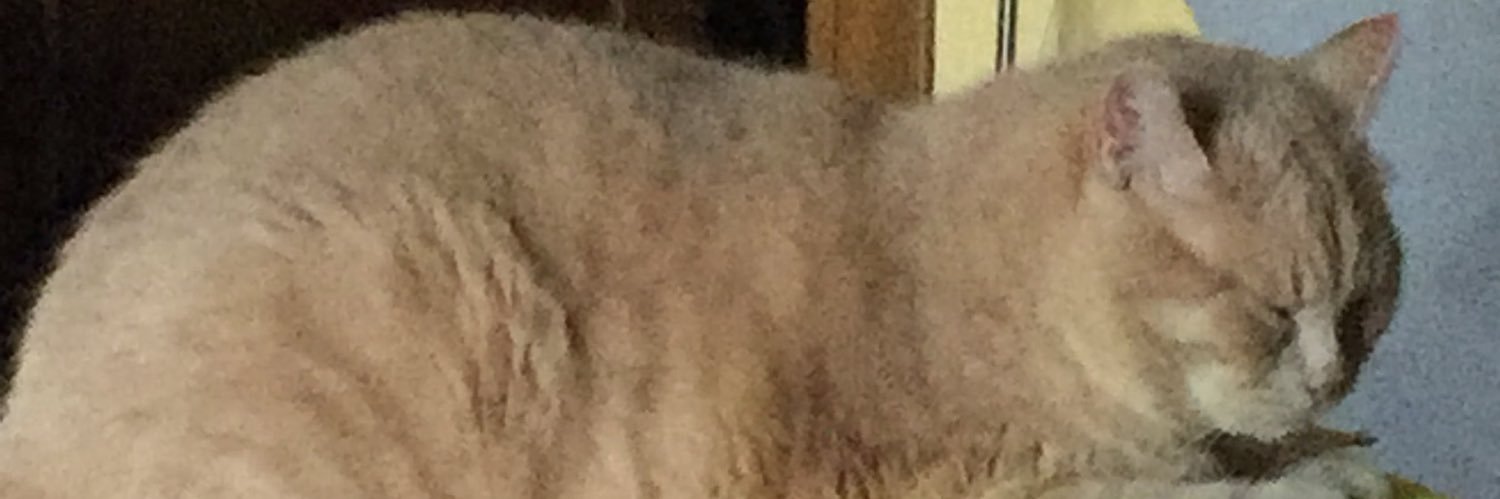 milani_debora's profile banner image