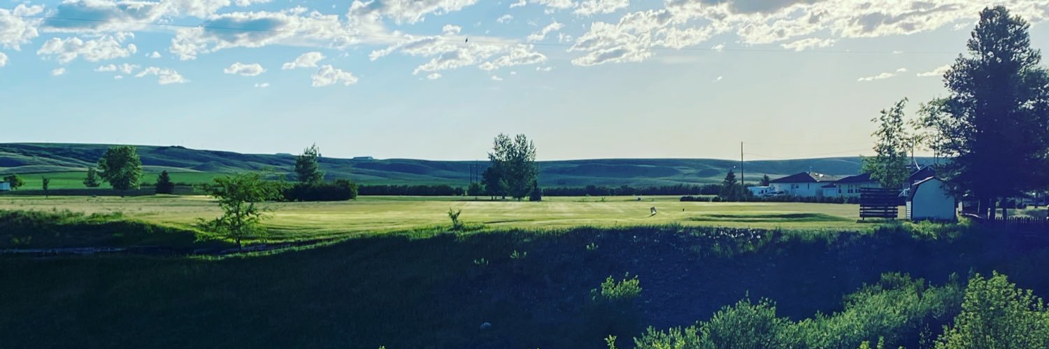 Casey Stevenson banner