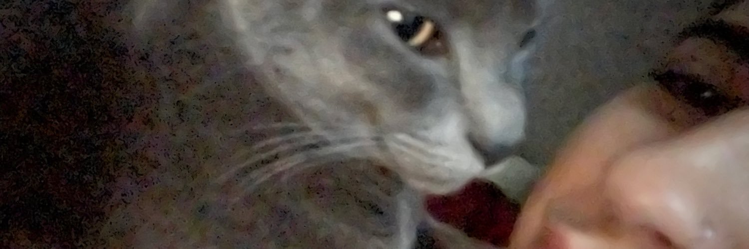 rocioayleen's profile banner image