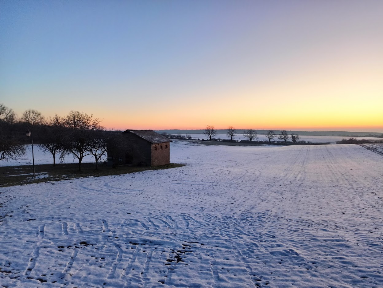 Marie 🌿🍄🐱 banner