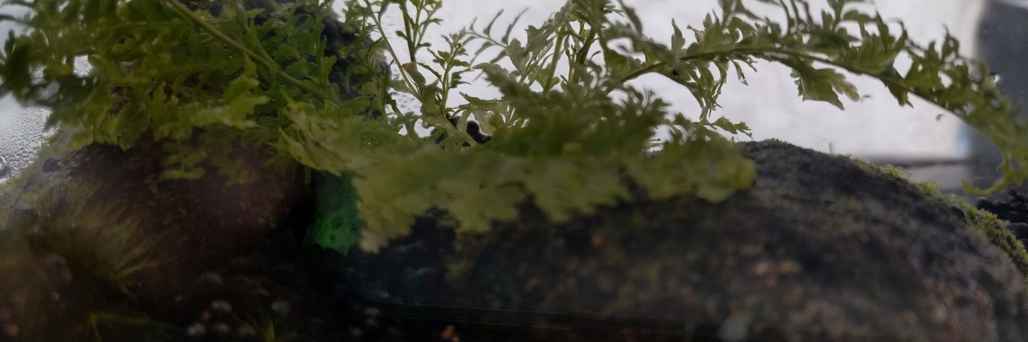 9zxtro's profile banner image