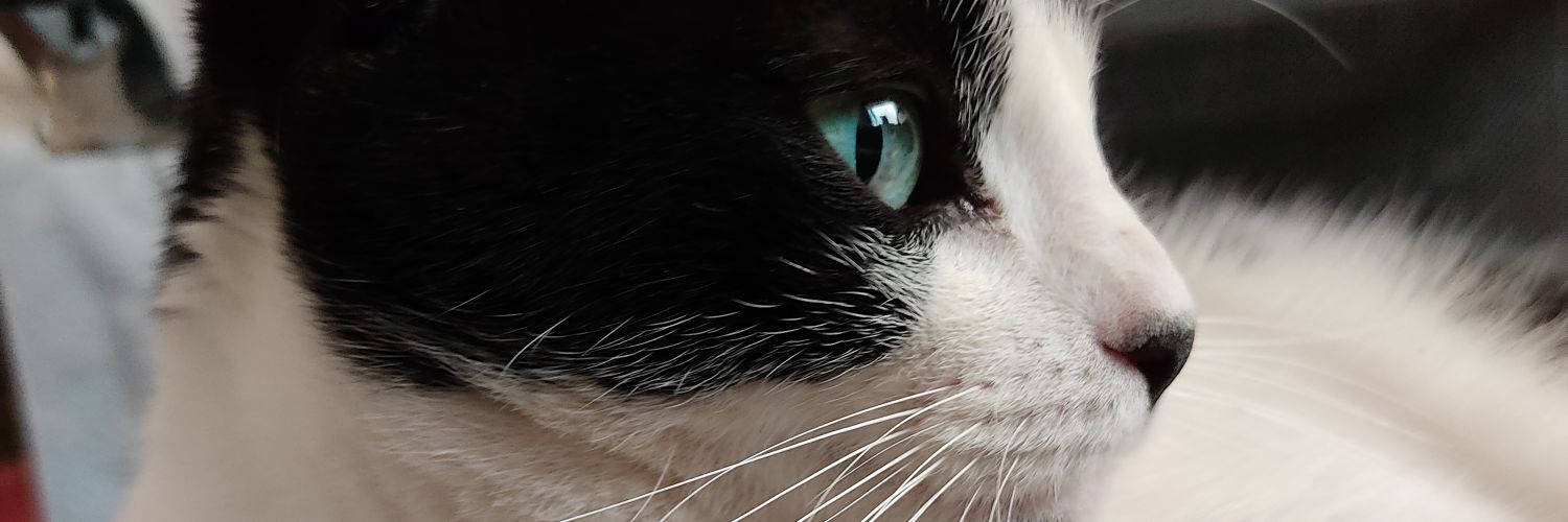 FlorciFunes's profile banner image