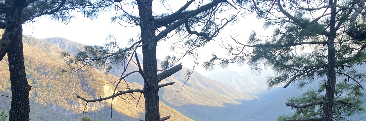 aleexdlgado's profile banner image