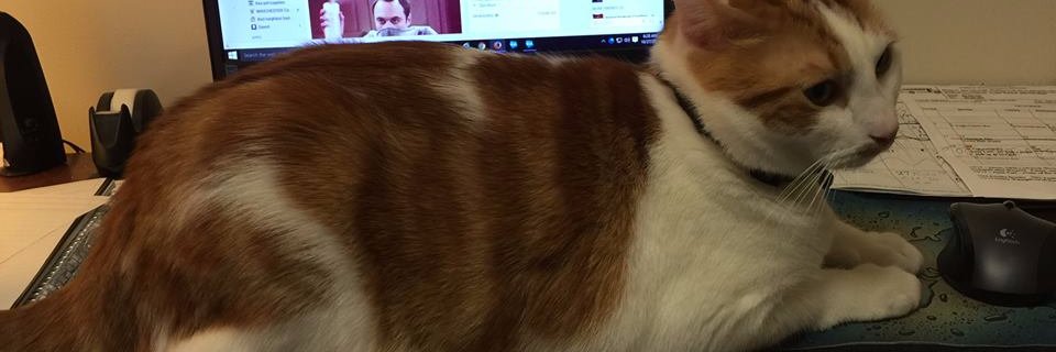deedee4099's profile banner image