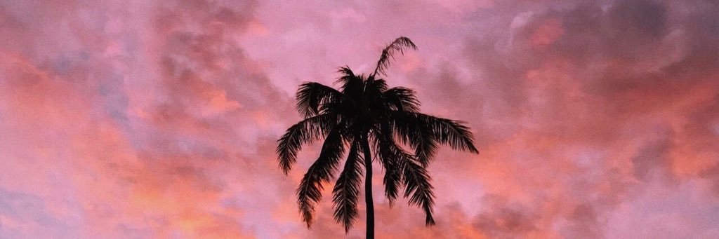 minglixo's profile banner image