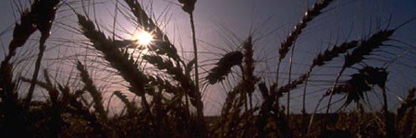 f_miranda_s Profile Banner