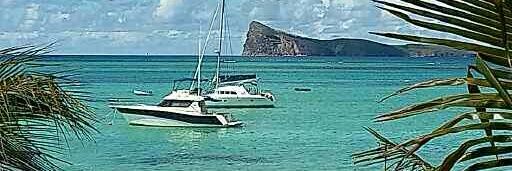 Sally Higgins banner