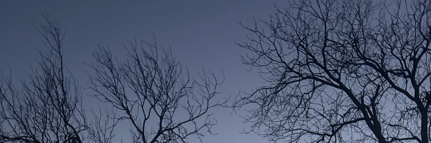 𝓓𝓪𝓿𝓲𝓷 banner