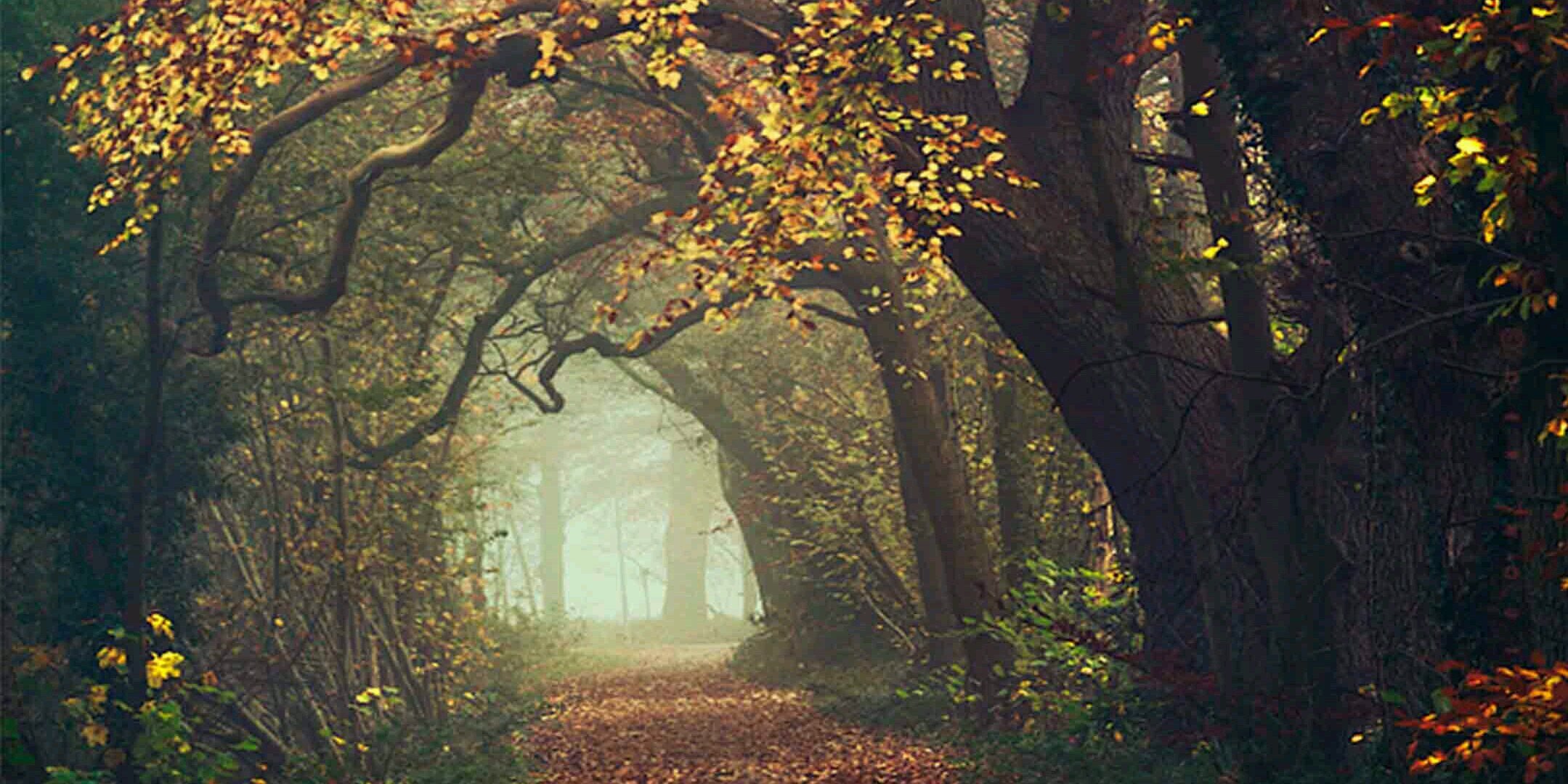 TwoGlances's profile banner image