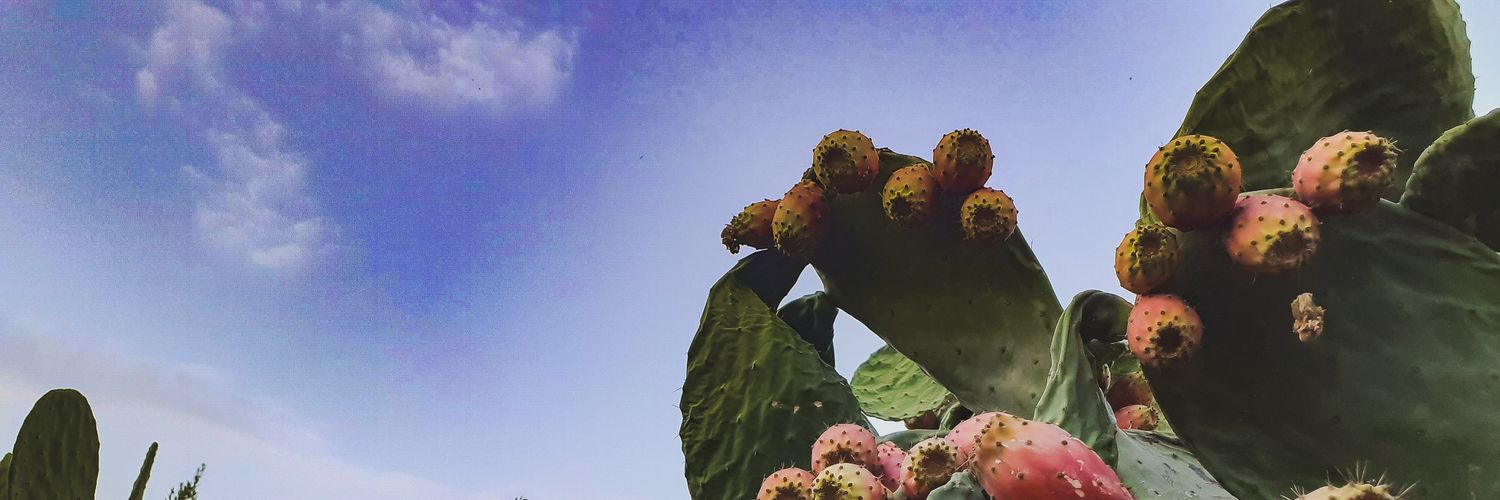 Francesco Libero banner