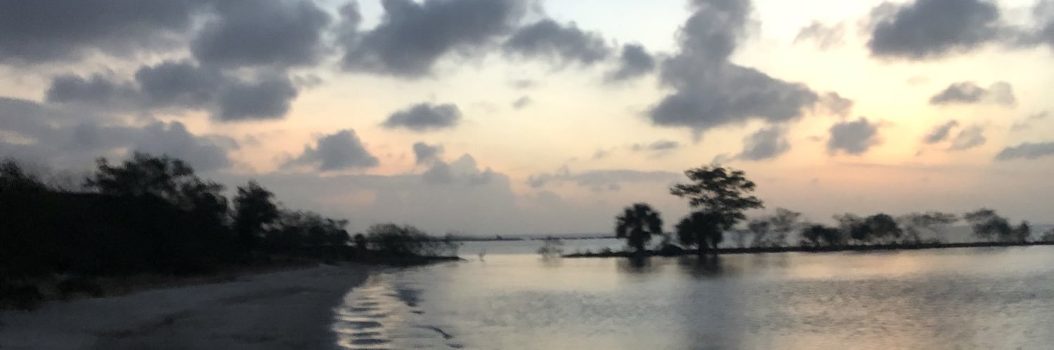 badbeachjohnny's profile banner image