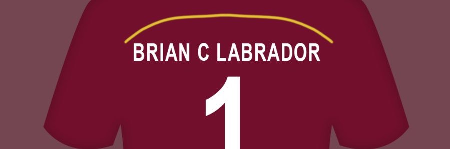 Brian C Labrador banner