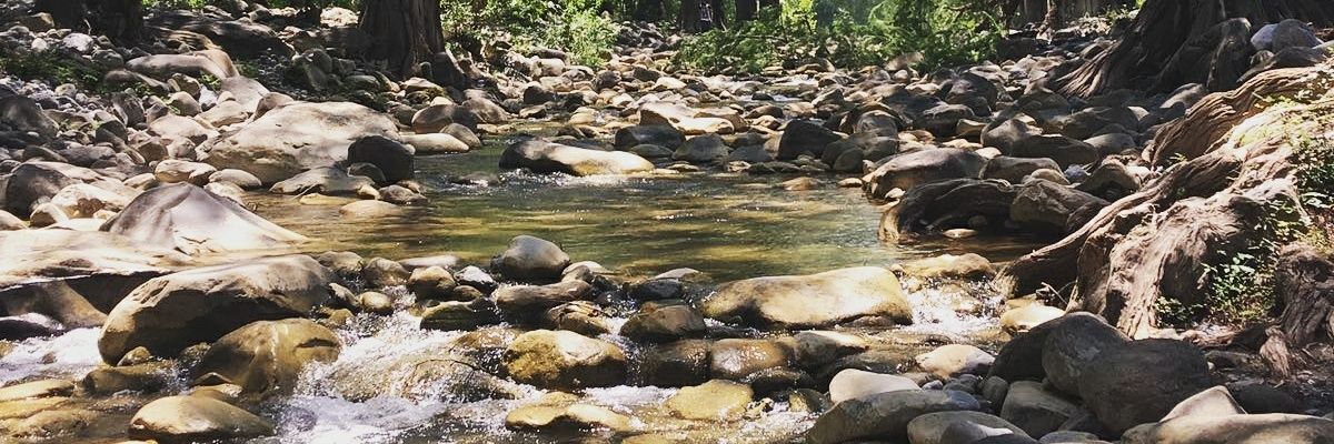 annmichelle421's profile banner image