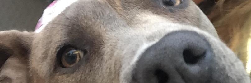 C_Orebaugh's profile banner image