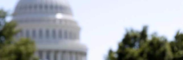 Ali Rogin banner