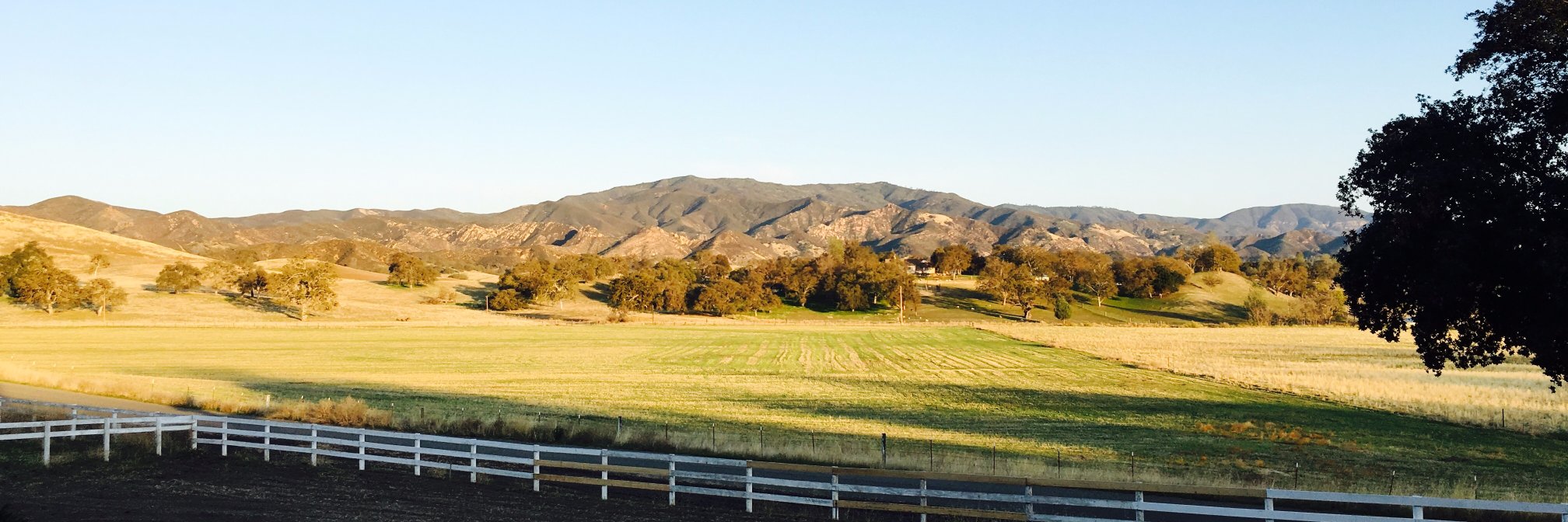 sheltoney's profile banner image