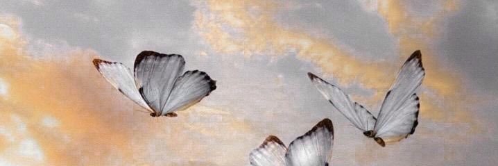 kowkaa__'s profile banner image