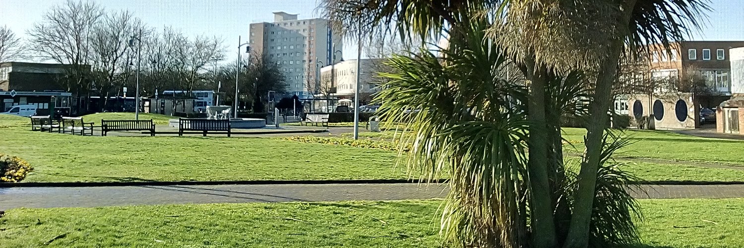 ★ Tony. M. Weaver ★ banner