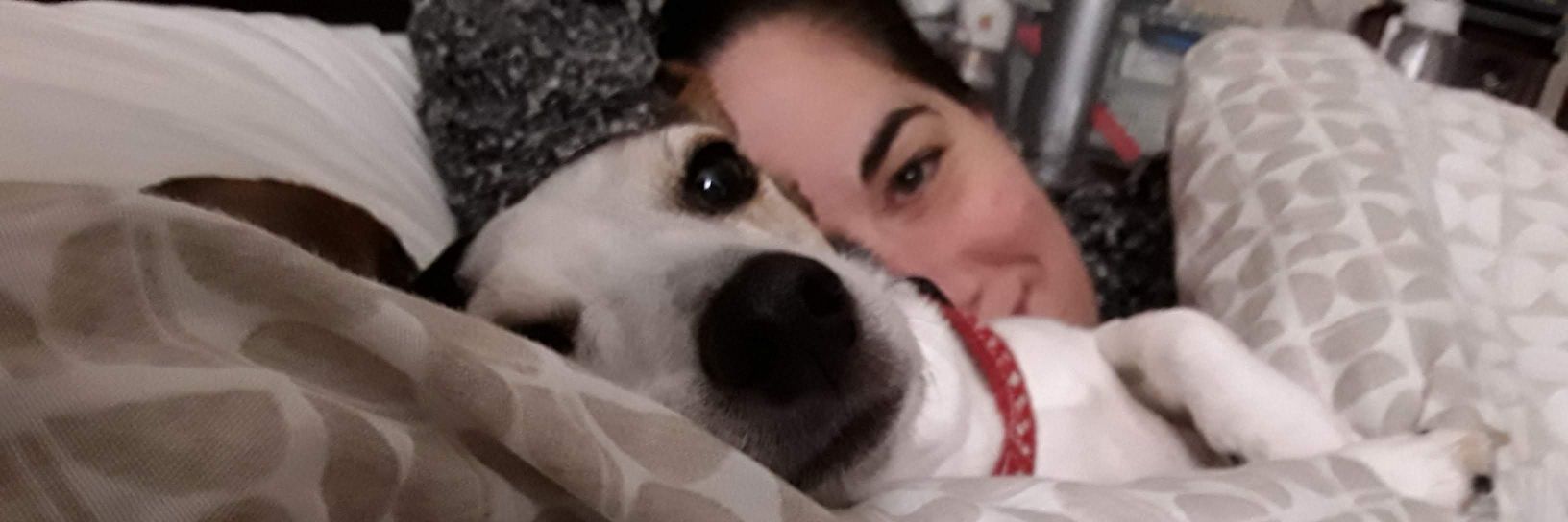 Rebecca Cornes banner