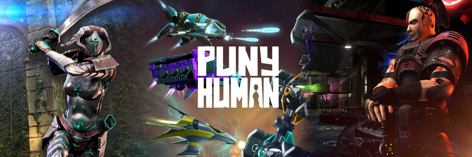punyhuman's profile banner image