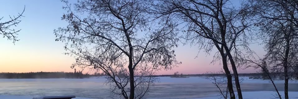 A. banner
