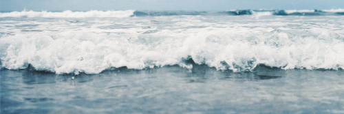 ViDilaveri's profile banner image
