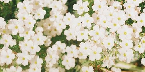 MariferRamirezA's profile banner image