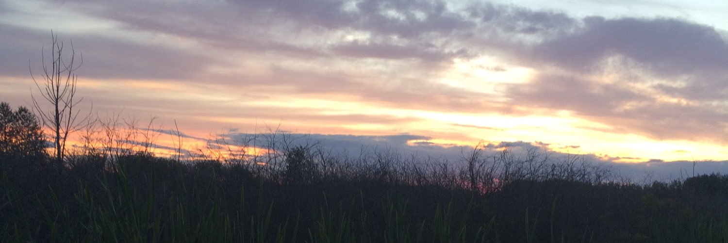 _jamiscott's profile banner image