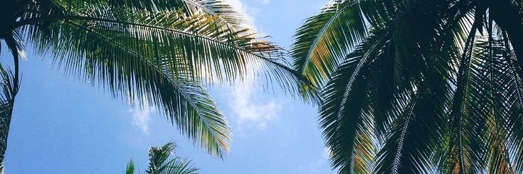Brenda_VRR's profile banner image
