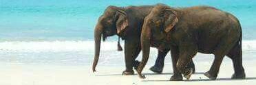 safaarashwan's profile banner image